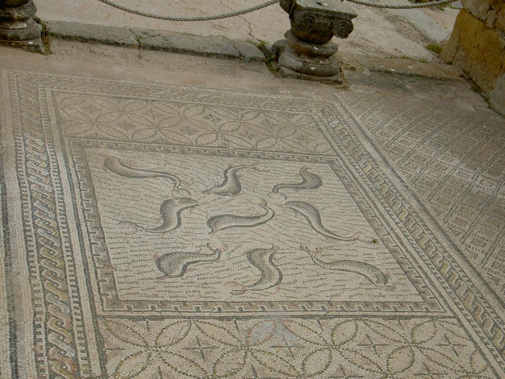 Mosaic at Volubilis